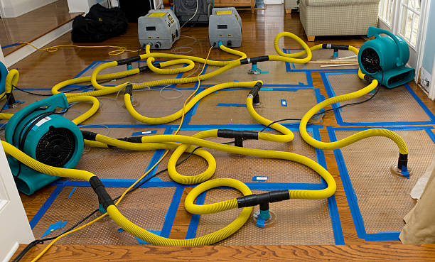 Professional Water Extraction technician working in Decatur, IL